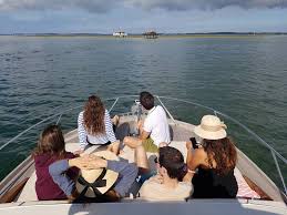 Faire Une Ballade D Exception En Bateau Prive Haut De Gamme Sur Le Bassin D Arcachon Avec Degustation Visite Et Baignade Au Banc D Arguin Et A L Ile Aux Oiseaux Croisiere En Bateau Sur