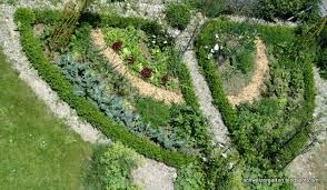Aus Die Maus Der Buchs Muss Weg Garten Ein Schweizer Garten Garten Ideen