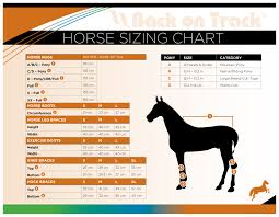 Horse Sizing Guide