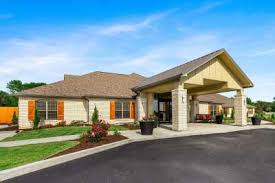 Image result for Pearsonia