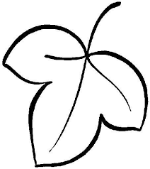 Dibujo Hoja Para Colorear