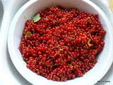 Maybe you would like to learn more about one of these? Recettes De Gelee De Groseilles