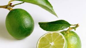 Mengenai penambahan kecap pada air jeruk nipis, menurut prof sumali, hal itu dimaksudkan untuk mengurangi keasaman air jeruk. Cara Jeruk Nipis Dan Kecap Sembuhkan Batuk