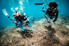 Coral Restoration Workshop (June 2026)