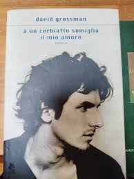David grossmann A un cerbiatto somiglianza a il mio amore David. Leavitt La  lingua perduta delle gru. Li avete letti?impressioni?