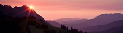 Why is the acupuncturist's college in alberta important? Elevate Transform Acupuncture Alberta Fernie Hinton Alignable