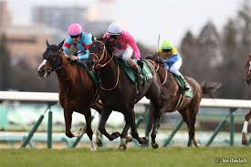 Search the world's information, including webpages, images, videos and more. çšæœˆè³ž æ¿€èµ°æ¡ä»¶ã‚'æº€ãŸã—ãŸ ç„¡æ•—ã®ãƒ€ãƒ¼ã‚¯ãƒ›ãƒ¼ã‚¹ ãŒå‡ºç¾ ç«¶é¦¬ãƒ‹ãƒ¥ãƒ¼ã‚¹ ç«¶é¦¬ãƒ©ãƒœ