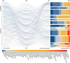 Image result for Searsia rehmanniana