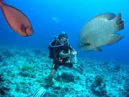 Maybe you would like to learn more about one of these? å¸›ç‰çš„å…­å¤§ç§˜å¢ƒ Hopetripæ—…éŠç¶²