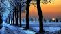 Full Screen Nature Hd Wallpapers For Pc