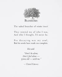 Blossom Beautiful Words Love Poetry And Poems