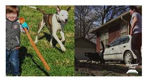 712 mt moriah rd, memphis, tn 38117, usa. Hollywood Feed Home Facebook