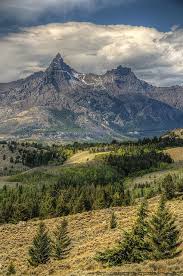 Cacti are collectible and are ideal for nice, sunny windowsills as are many of their succulent counterparts. 460 Wyoming Ideas Wyoming Wyoming Travel Wyoming Vacation
