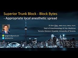 Image result for Superior Trunk Block