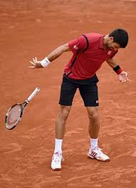 Andy murray vs novak djokovic: Novak Djokovic Throws Racquet Towards Linesman During French Open Mirror Online