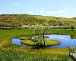 Bingöl Yüzen Ada resmi