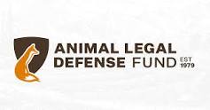 Image result for lawyer who specializes in cases regarding animal neglect