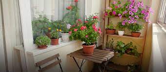 There are a few more decorating ideas worth borrowing from jana's balcony. Creative Decor Ideas For A Small Balcony Zameen Blog
