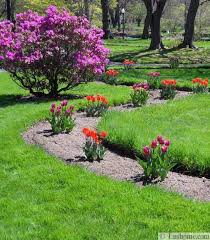Pin On Spring Flowering Bulb Ideas