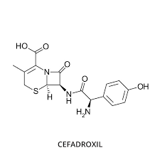 Image result for Cefadroxil