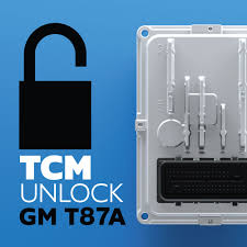 This is a tutorial on how to remove blur from any websites that have locked pages or text with a blur screen. Tcm Unlock Services Gm T87a Hptuners