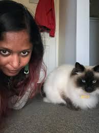 this hemingway gromp was not impressed with our toy offering