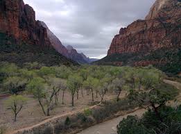 Cloudy Day At Zion Canyon Zion National Park Utah Oc 3200x2860 Zion National Park Zion National Park Utah Zion Canyon