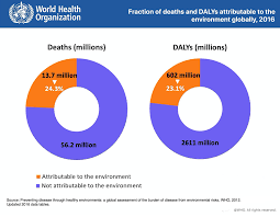 Environmental health policy is the interplay between the environment and health, and how the environment can affect human health. Environment And Health