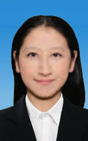 Directors , Supervisors and Senior Management Profiles