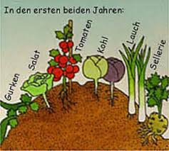 Anleitung Ein Hugelbeet Anlegen Das Haus Hugelbeet Garten Anlegen Bepflanzung