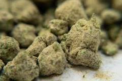 Is Moon Rock the Strongest Weed Strain? - UBaked