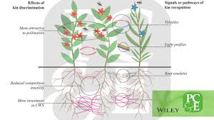 Maybe you would like to learn more about one of these? Plant Cell Environment On Twitter In This Fantastic Review Niels Anten Wur And Bin Chen Delve Into A Question Long Posed By Plant Scientists Non Specialists Alike How Do Plants Recognise