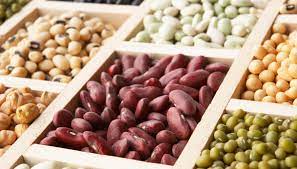 Semi di lino, soia, zucca e anice, sono coadiuvanti nella crescita del seno oltre ad essere salutari. 6 Alimenti Che Fanno Aumentare Il Seno Dilei