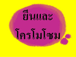 We did not find results for: à¸šà¸—à¸— 17 à¸¢ à¸™à¹à¸¥à¸°à¹‚à¸„à¸£à¹‚à¸¡à¹‚à¸‹à¸¡