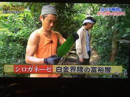 白金びわ茶 On Twitter Tokioの鉄腕dash 内容とトークからしてdash島でのビワ茶作りは白金びわ茶の企画だったのか という話がtlに上っていますが 弊社代表は沈黙を守っています Tvみてる Tokio 鉄腕dash