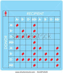 Pin On Pattern And Frame Vector