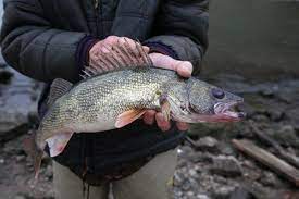 New Fishing Regulations For 2019 Kentucky Living