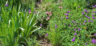 The kind of soil you have will help determine the size of your rain garden. Rain Gardens Maryland Sea Grant