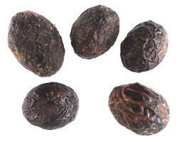 Image result for Strychnos madagascariensis