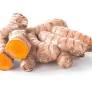 Turmeric Plant