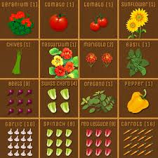 66 Prototypical Square Foot Planting Chart