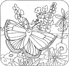 By doing this activity kids learn to select paints when it comes to girls, they should be very beautiful and girlish. Butterfly Coloring Pages For Girls With Coloring Book Back To School Coloring Pages Clipart Large Size Png Image Pikpng