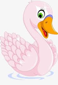 Baby Swan Clipart Black And White Pink Cartoon Swan Cartoon Clipart Pretty Eye Png Transparent Clipart Image And Psd File For Free Download Cartoon Clip Art Clip Art Cute Animal Drawings