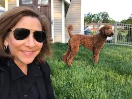 I'm helping to “dog sit” my friend's dog, Vinny He's a really sweet dog  with a lot of energy. I'm enjoying spending time with him.