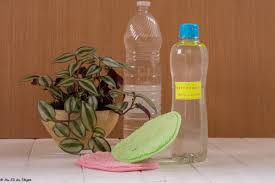Maybe you would like to learn more about one of these? Diy Nettoyant Multi Surfaces Maison Et Facile A Realiser Au Fil Du Thym