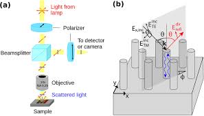 Image result for Polarized Microscopy