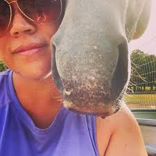 Where to board horses in Crowley area for a short term?