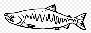 Salmon Clipart Tiny Fish Pacific Salmon Black And White Png Download 822637 Pinclipart Choose from over a million free vectors, clipart graphics, vector art images, design templates, and illustrations created by artists worldwide! salmon clipart tiny fish pacific