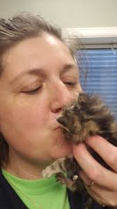 This gem releases TOMORROW!  https://paulinestore.com/real-moms-of-real-saints.html