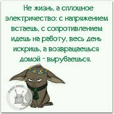 счастье это когда утром с радостью идешь на работу Pin By Natalya Protockaya On Yumor Art Quotes Funny Funny Quotes Funny Expressions